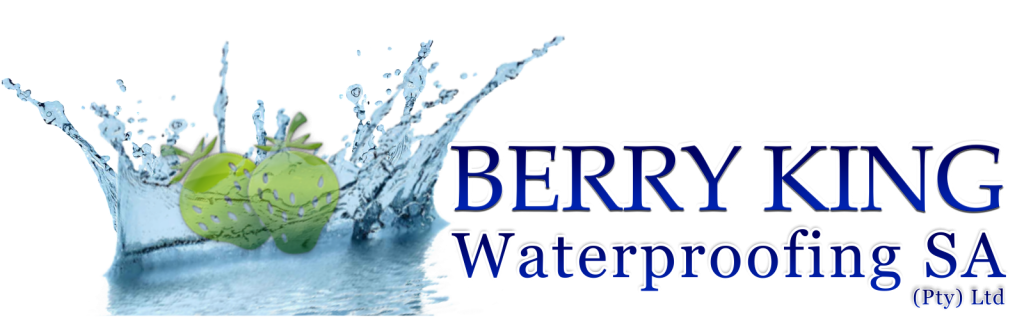 Berryking-Waterproofing-Johannesburg-1024×320 (1)